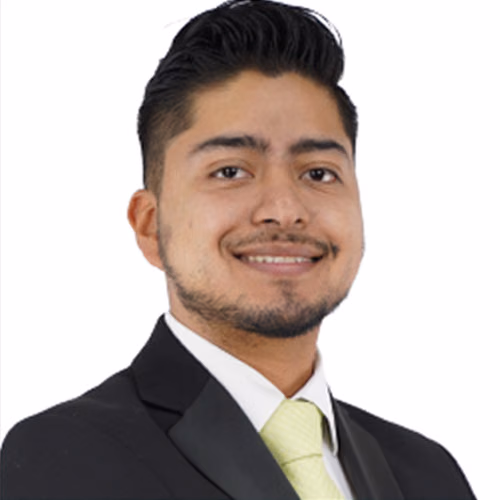 Luis Fernando Villarreal Flores