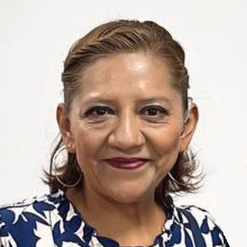 María del Carmen Méndez Villamil