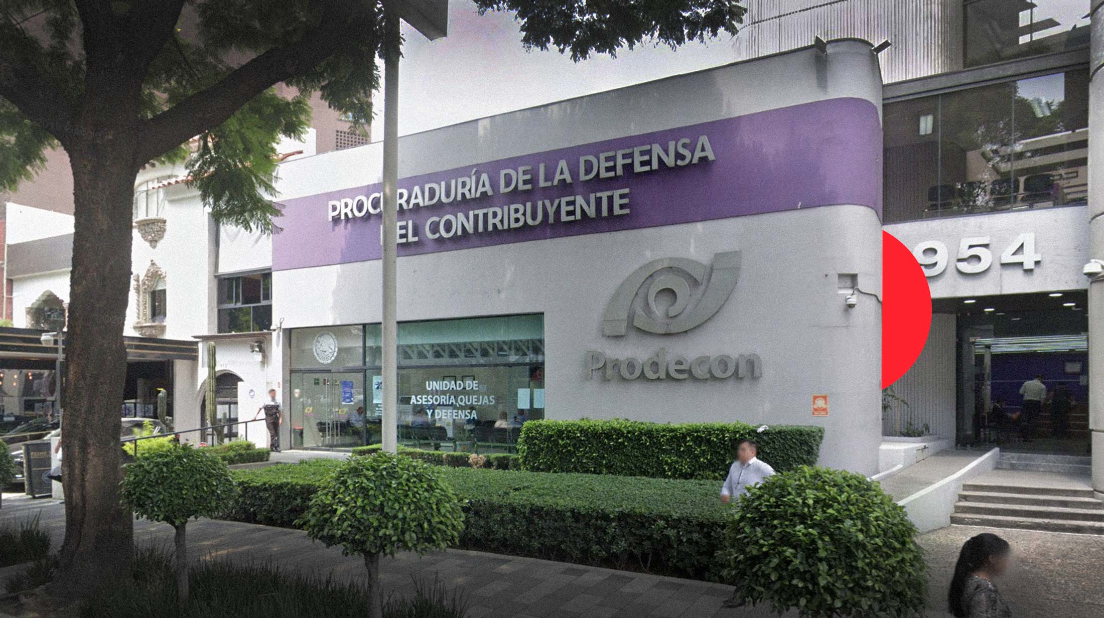 MCCI y México Justo obtienen suspensión definitiva contra la designación del nuevo titular de la Prodecon. Noticias en tiempo real