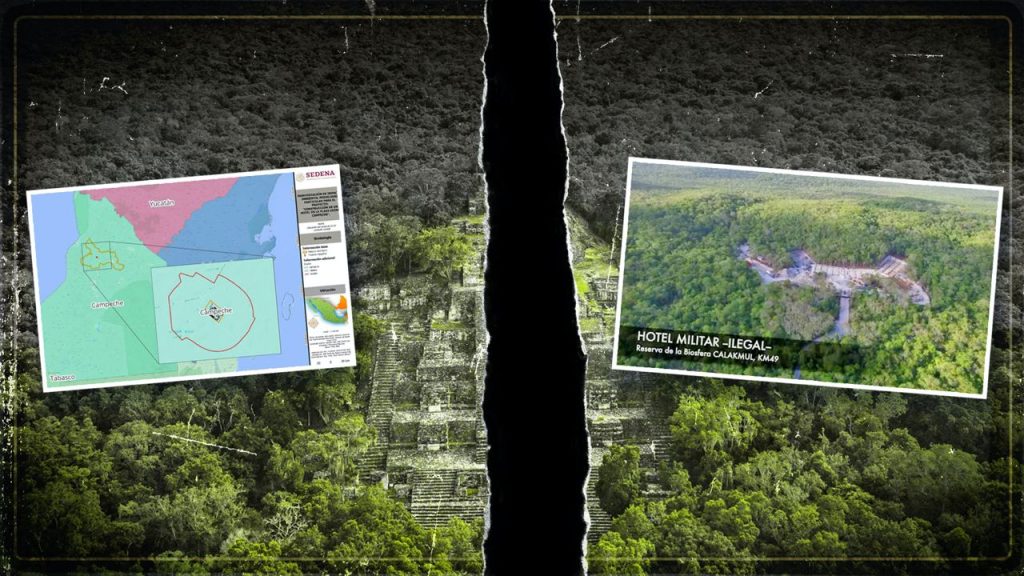 La Sedena arrasó la selva para construir 6 hoteles del Tren Maya