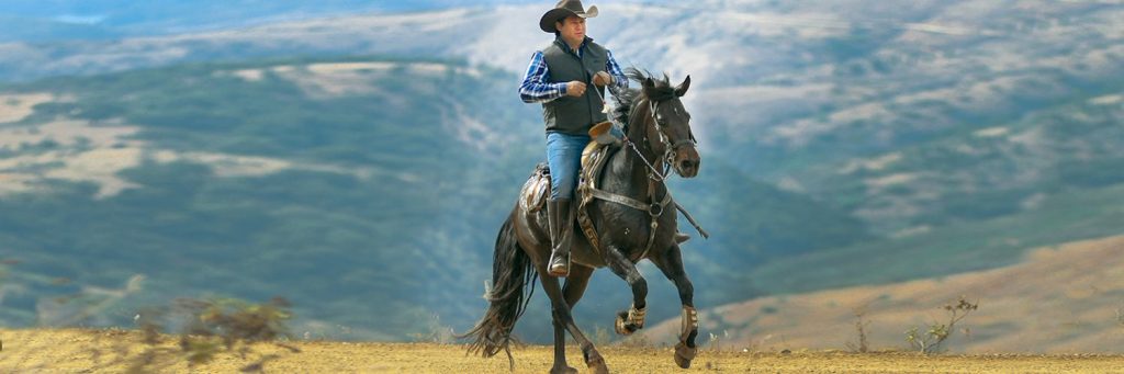 caballos1