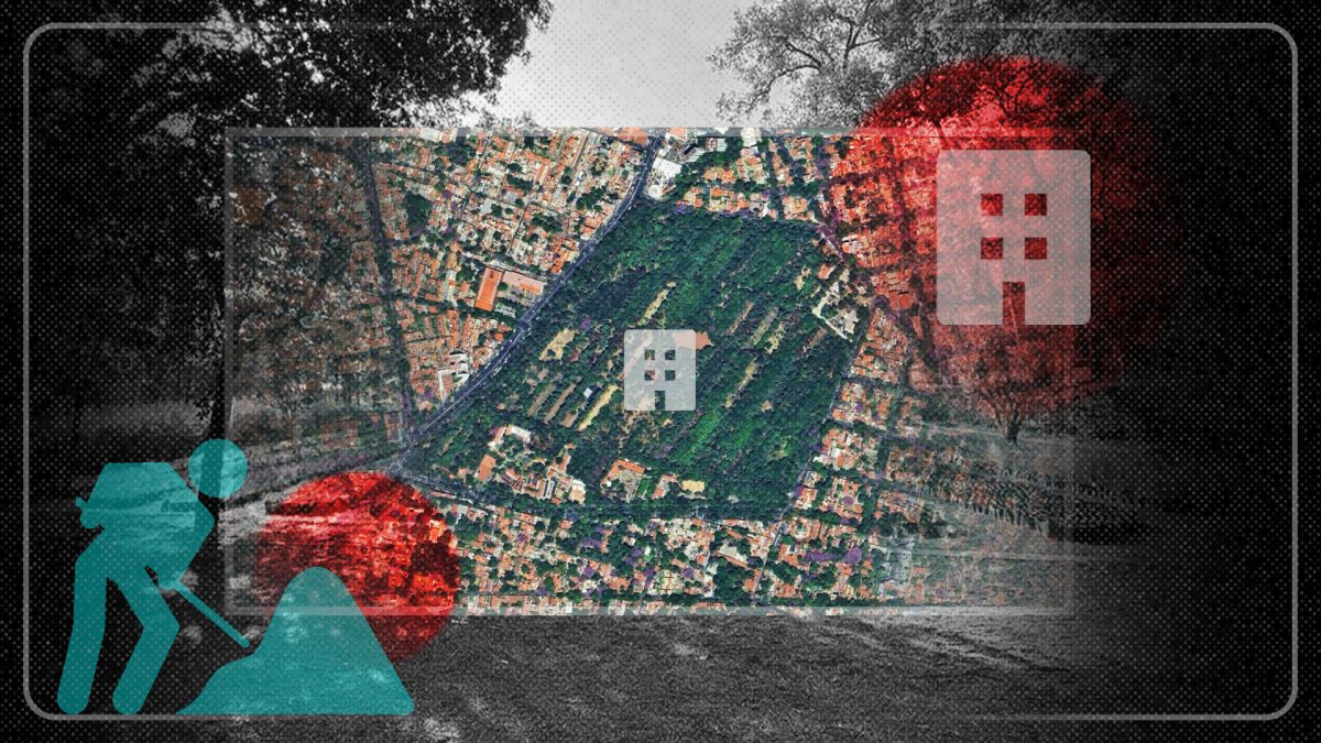 Viveros de Coyoacán: el gobierno haciendo leña del árbol plantado