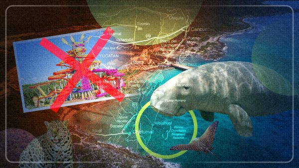 Lecciones de la cancelación de Mahahual: la comunidad contra los megaproyectos